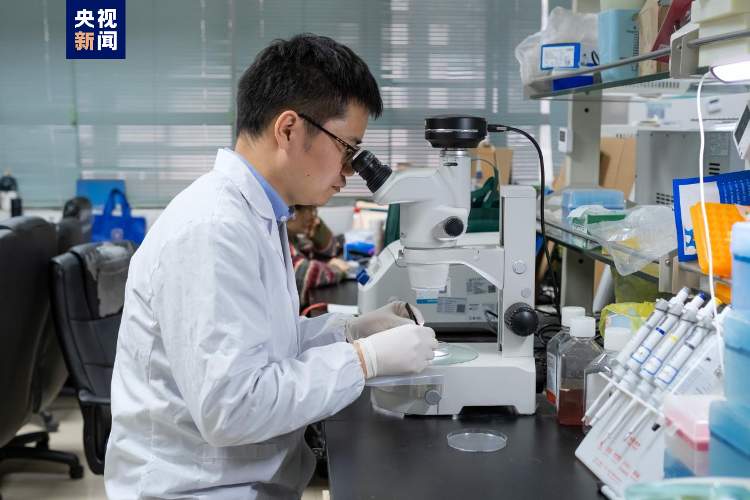 中山大学科研团队发布首个人类肢体发育单细胞时空图谱