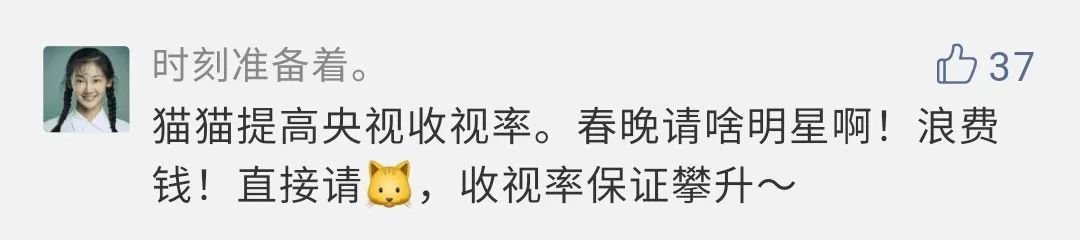 猫来助阵！“央视猫叫”上热搜是怎么回事？终于真相了，原来是这样！