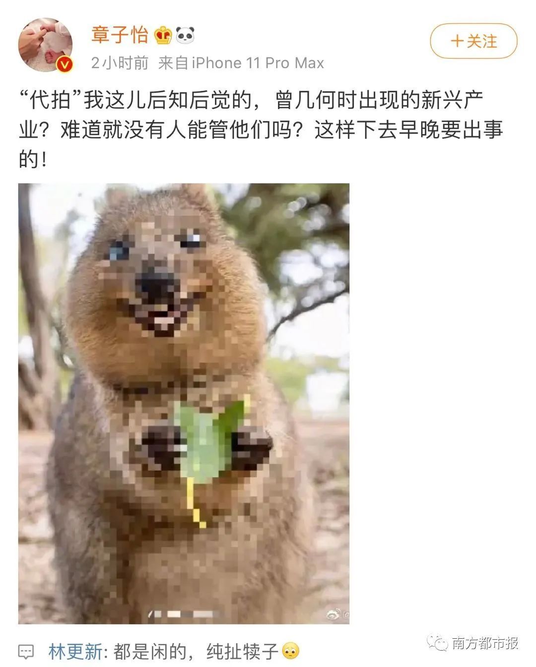 粉丝|热搜第一！章子怡发文斥代拍：这样下去迟早出事！