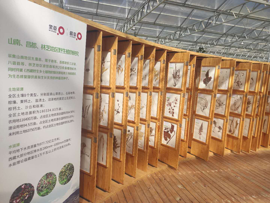 【幸福花开新边疆】高原之上，看见幸福