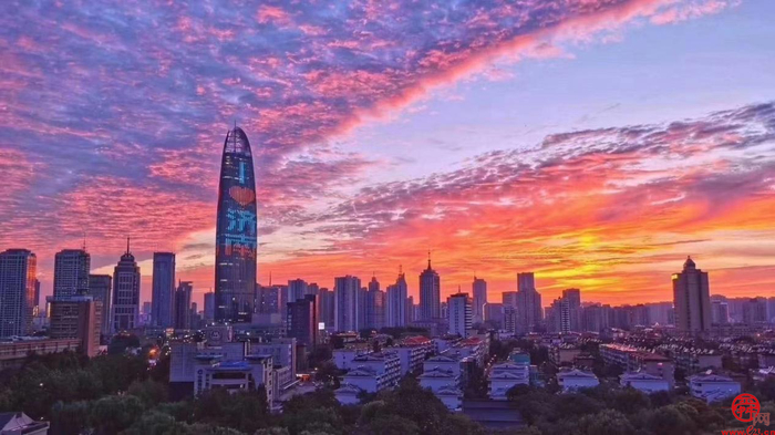 继“黑珍珠”后餐饮重磅奖项“金梧桐”又青睐济南