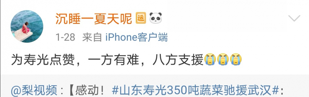 日供武汉2000吨蔬菜，“宇宙寿光”是怎样炼成的？