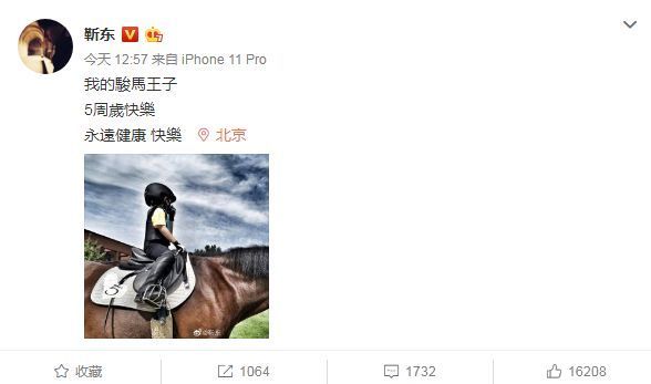 靳东为儿子庆生 小男子汉戴头盔骑马英姿飒爽