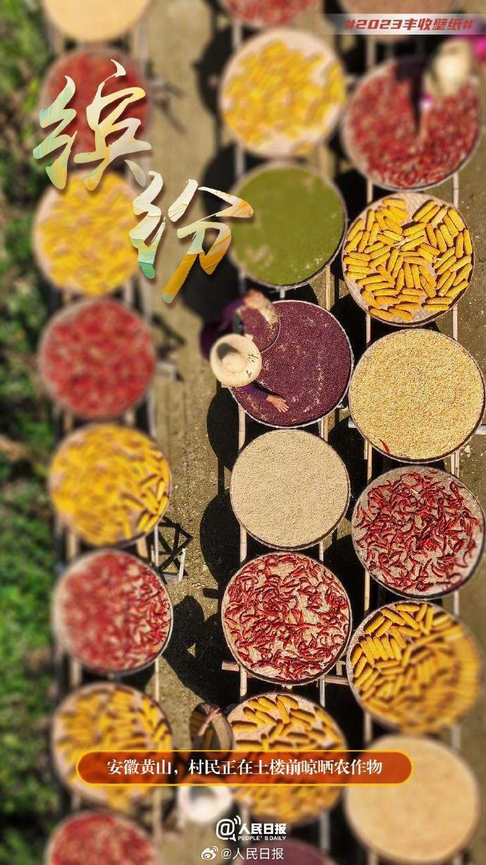 俯瞰丰收大地，美成了壁纸