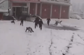 这些“狼狈”的身影真帅！消防员花式出警合集来了，笑着笑着就哭了