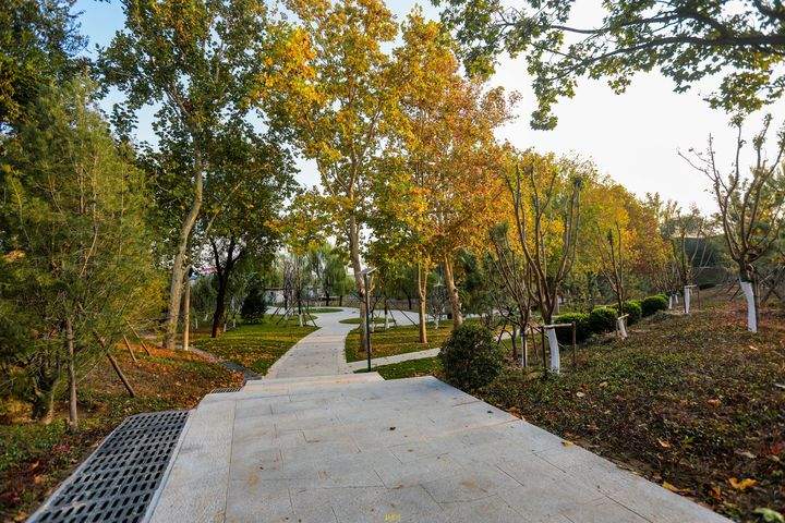 黄河岸边因地制宜强化游憩功能，新增“下沉式”生态公园