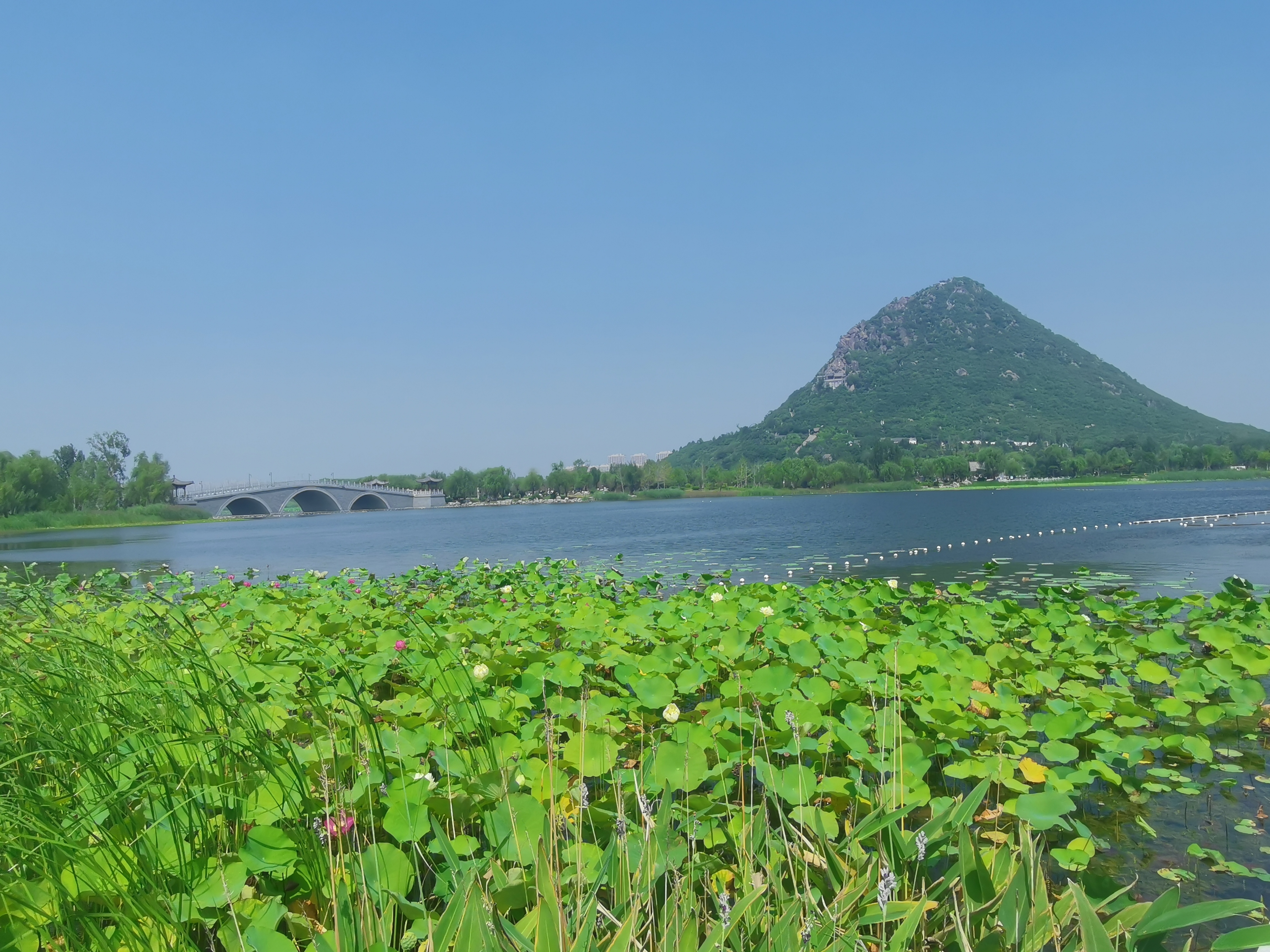 济南1月镇街“治气”成绩单出炉，有区县获奖金105万元