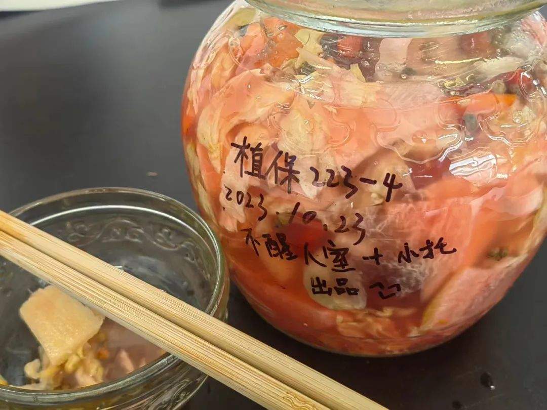 大姐腌酸菜“翻车”？中国农业大学的“秘笈”来了！