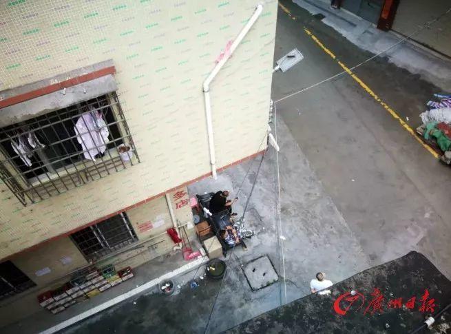 女子被“天降大狗”砸瘫 两名被告承担百万元赔偿责任