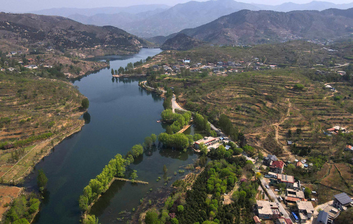 不负好春光 春茶采制正当时