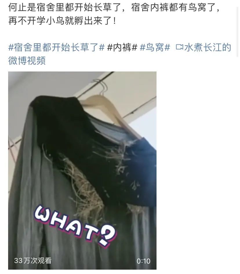 万物生长！好久不见的宿舍，推开门后懵了：人生处处有惊喜