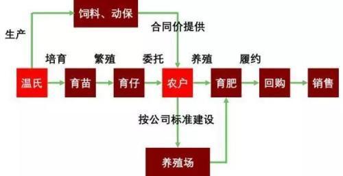 二师兄肉比唐僧肉都贵了！河南千亿首富招大学生养猪，月薪2万