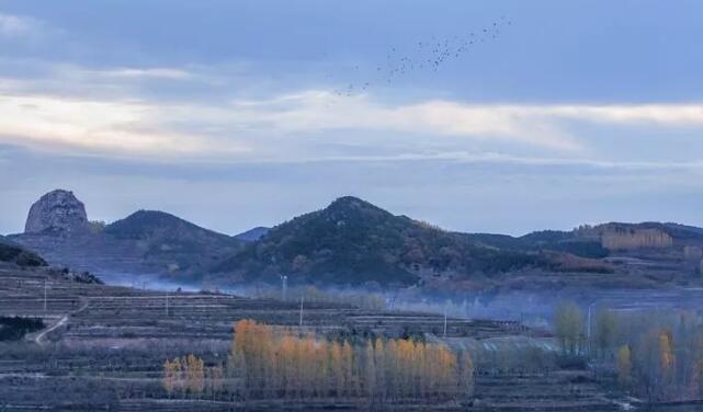 这就是山东丨初冬的日照，竟然也美得不像话……