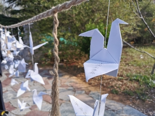 别样清明“感怀依然” 济南玉函山安息园举行共祭仪式