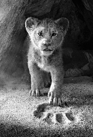 皮卡丘来了 把二次元萌物拉进真实世界有多不容易？