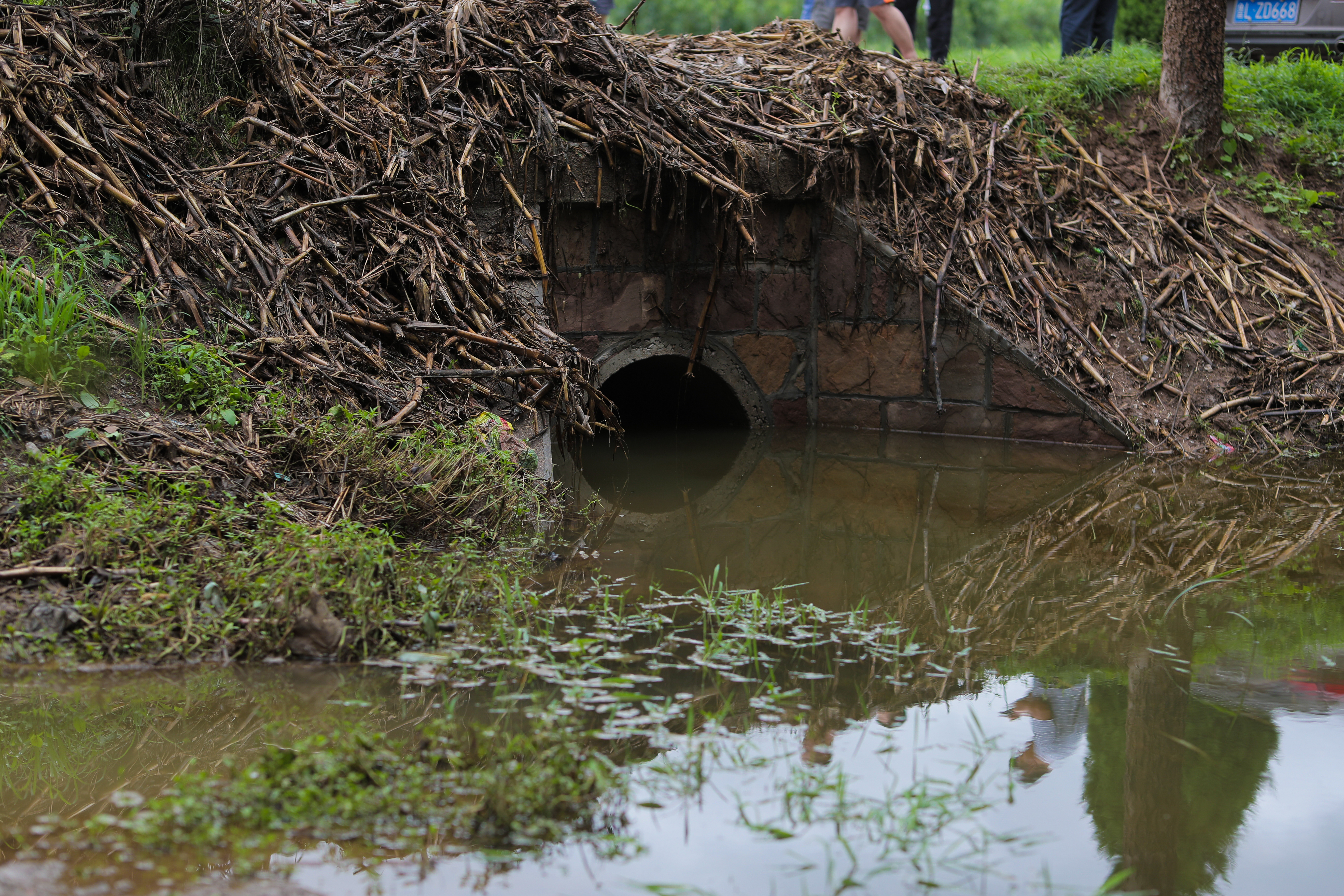 台风中牺牲的村干部：没来得及吃饭便赶去抢险，身上还穿着环卫工作服