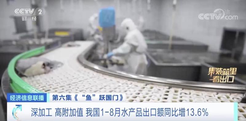 来水产品出口大省山东，看一条鲅鱼的出海之旅