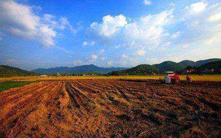 济南土地新政：疫情期间可延缓缴纳土地出让金 暂缓开（竣）工现场核验