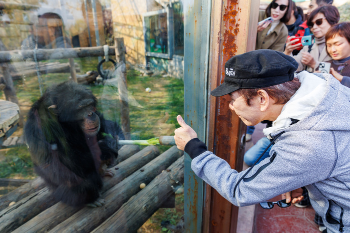 知名歌手赵传惊喜现身动物世界，与小小鸟梦幻联动