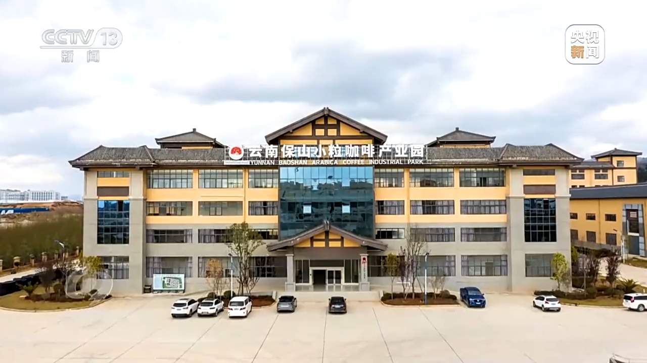 “金豆子”如何炼成？小小咖啡豆带出活色生香大产业！