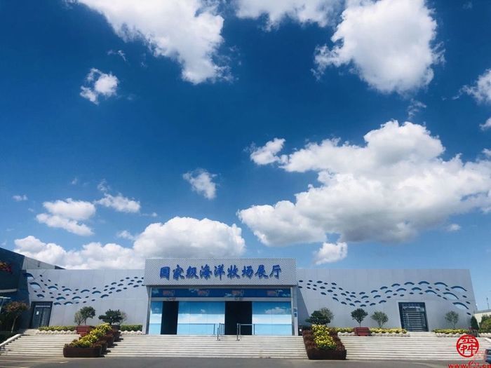 【绿动齐鲁 碳路未来】威海爱伦湾海洋牧场：打造海洋“低碳”新样板 生态效益带来“真金白银”