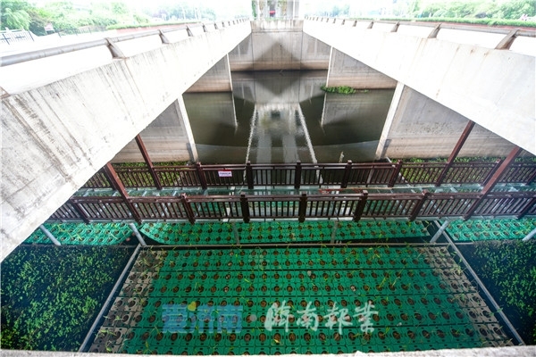 泉视界丨腊山河首个玻璃栈道建成 汛期河道泄洪延缓开放