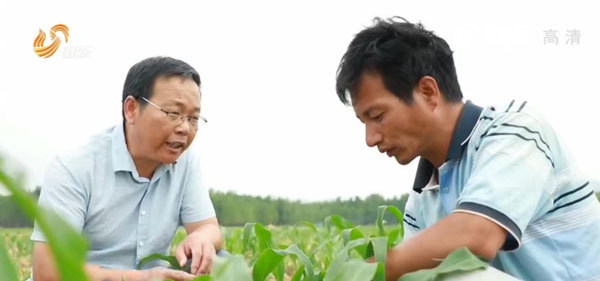 山东出台政策破局乡镇基层事业单位人才难题 技术员也能当上“教授”