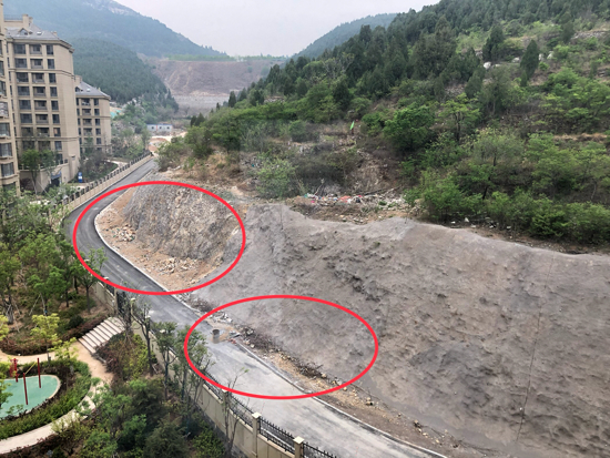 【啄木鸟在行动】毁树堆垃圾  何人在“啃山”？