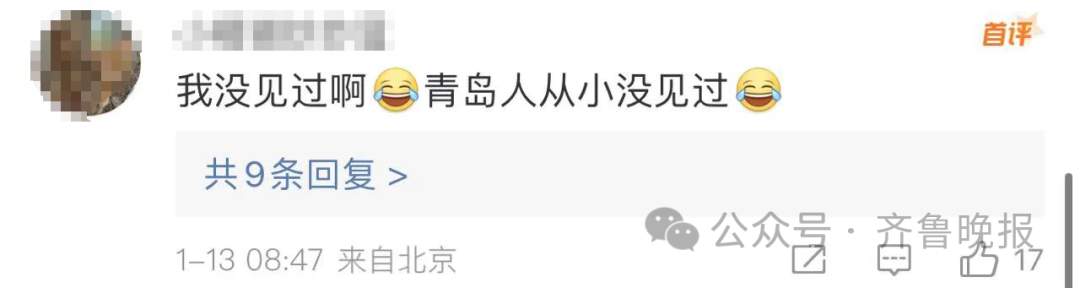 冲上热搜！2吨潍坊冻枣发往哈尔滨，免费送！山东网友馋哭：我也想吃……