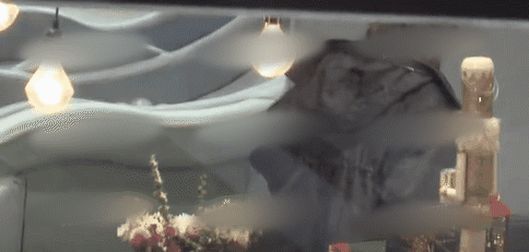 陈赫又要当爸爸了！张子萱孕肚很明显！接娃放学行动迟缓