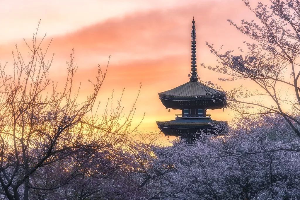 今日元宵，你若无恙，我便安好