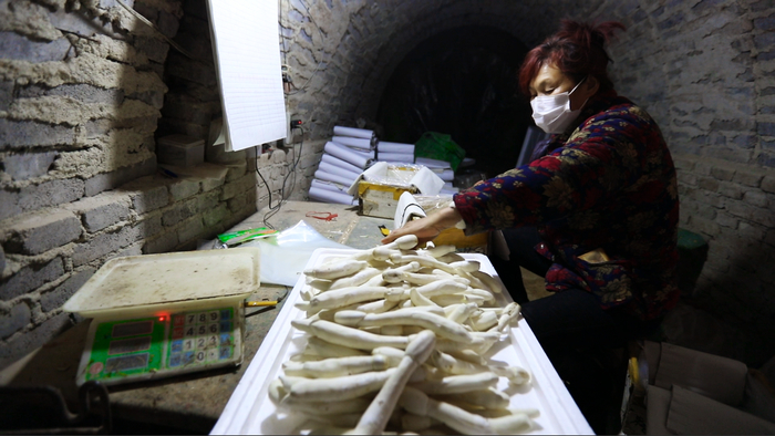 【春耕进行时】回看舜网记者带您走过的这些地方