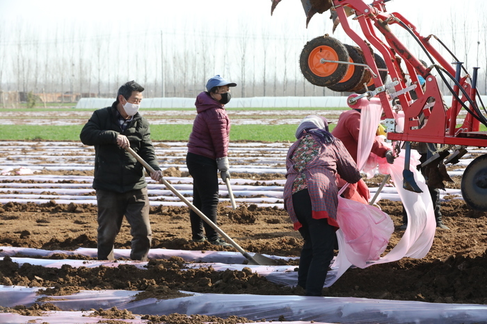 【春耕进行时】回看舜网记者带您走过的这些地方