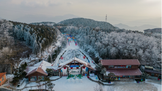春节假期过半，灯会庙会冰雪游文博展都去了么