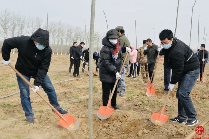 天桥区政协组织开展“政协林”植树活动