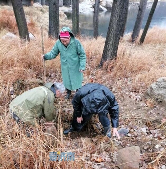 雪情就是命令丨守护安全，济南各级各部门奋斗在现场