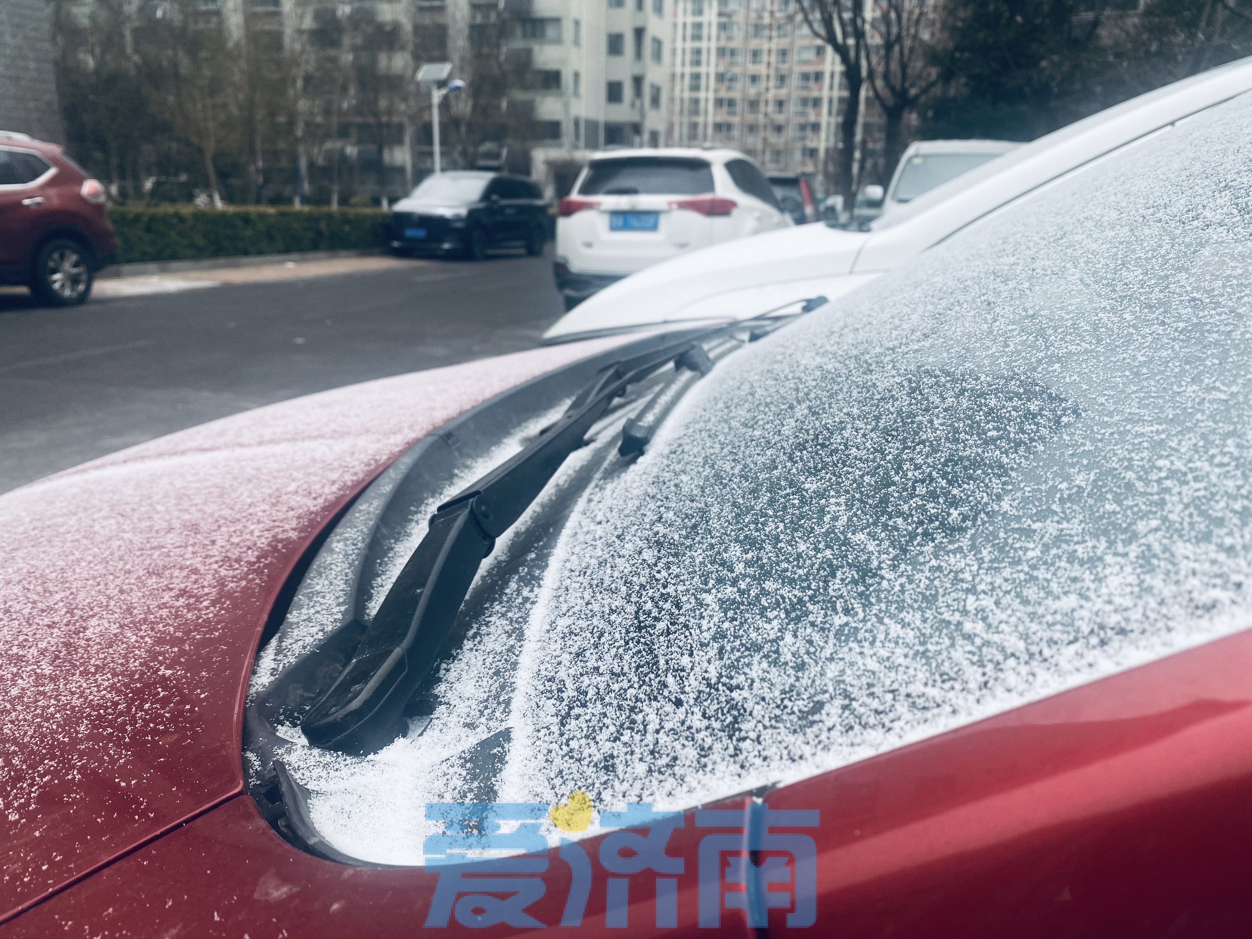 雪落风起寒意重！大年初三济南将进入“冰冻模式” 最高气温仅-6℃