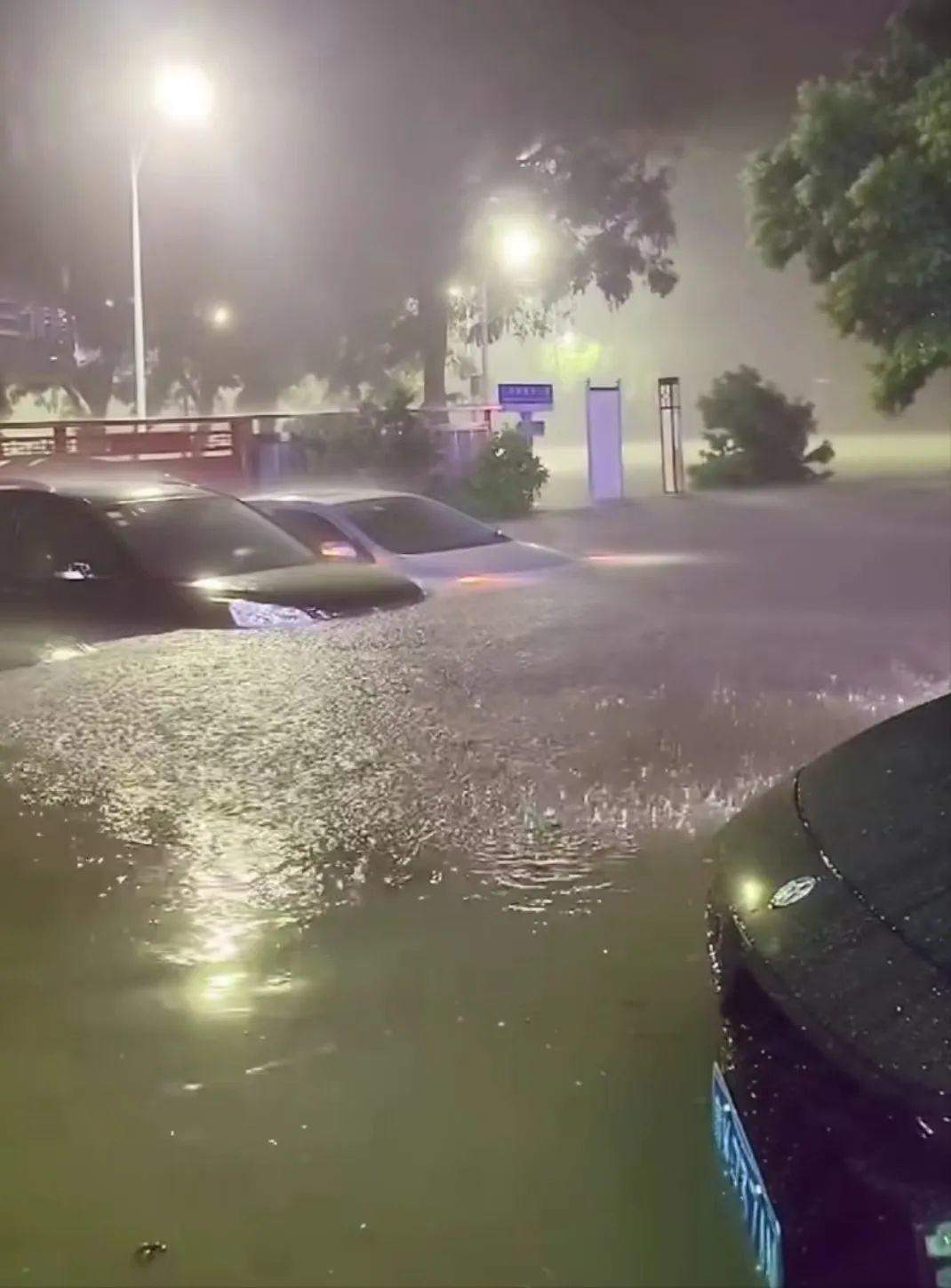 广东茂名暴雨，大坡镇信号中断