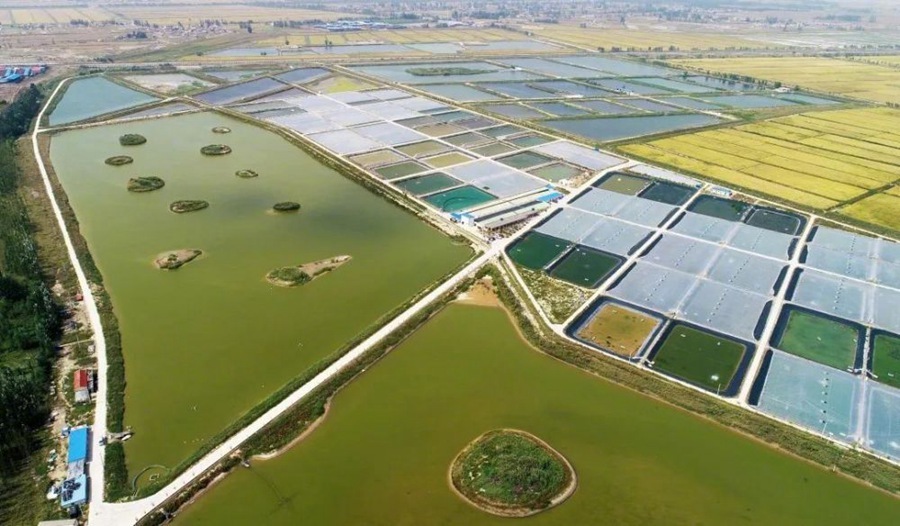第一观察丨总书记为何赋予宁夏这项重任？