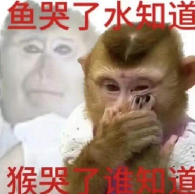 一夜之间“吗喽”占领了年轻人的生活圈 来自何方？