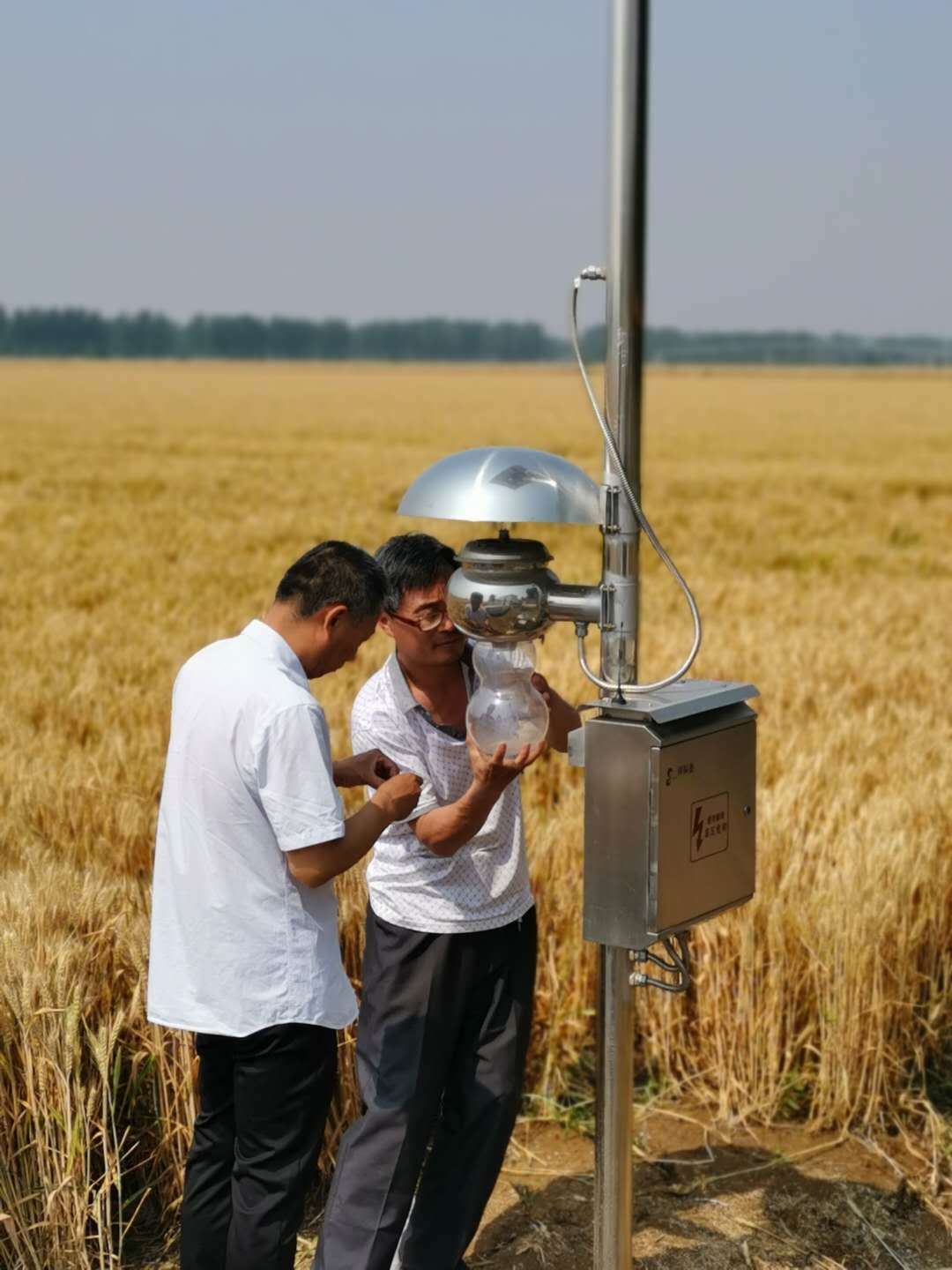  “粮食杀手”来袭！国内多地遭草地贪夜蛾入侵，山东省内尚未发现
