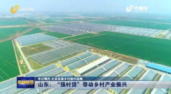 山东推行“强村贷” 用金融之力撬动产业振兴