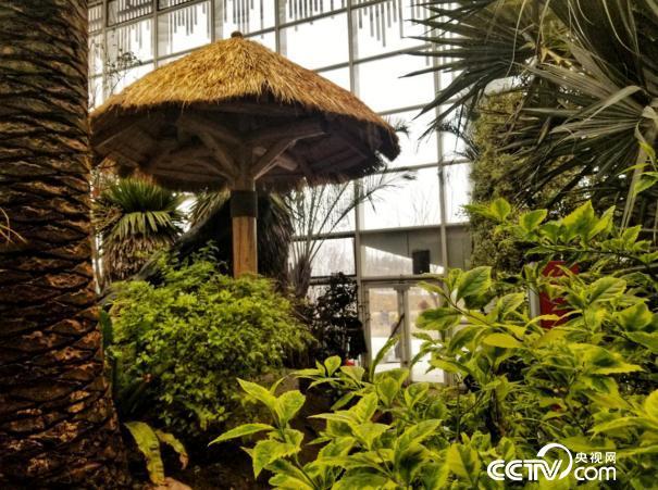 【瓣瓣同心·协同五年谱新篇】开园满百日，北京世园会绿染京郊意正浓