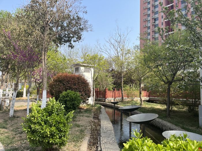 “四情”融合  点滴为民暖人心   记堤口路街道金色阳光社区党委书记王盼