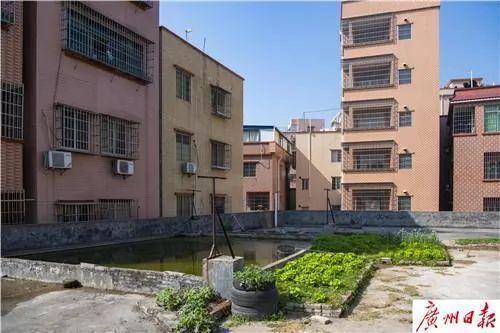 女子被“天降大狗”砸瘫 两名被告承担百万元赔偿责任