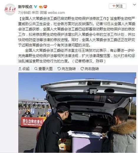 儿童刊物称果子狸可吃？武大出版社回应