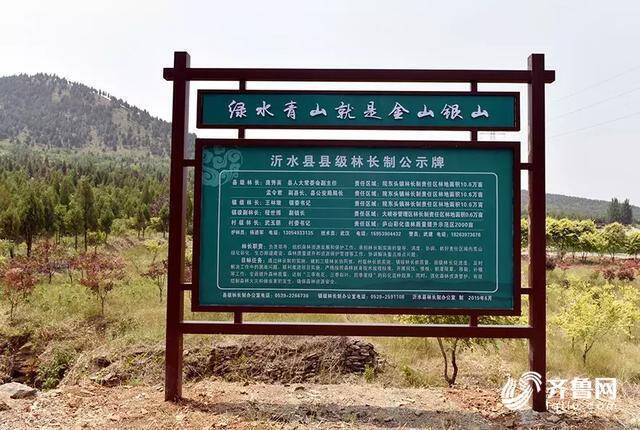 打造生态文明“绿色”名片！看山东如何以“林长制”实现“林长治”