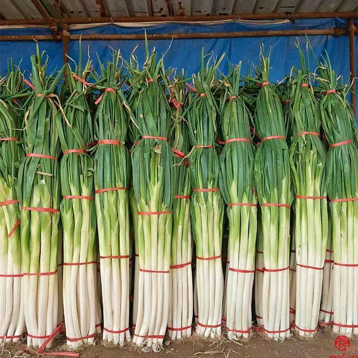 购古城好品，赏浓浓年味——古韵绣惠亮相2024章丘区特色产品展销推介会