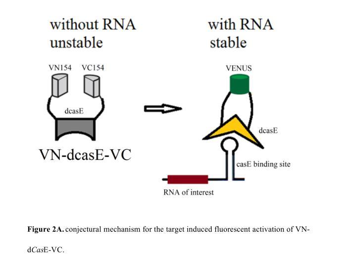 韩春雨团队三年后再度发文 仍在职河北科大