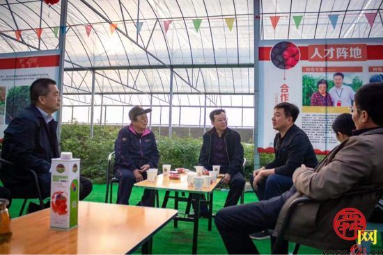 8431a2a3c0dd1d9d746d11211a1ef71c